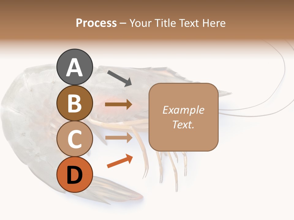 Background Shot White PowerPoint Template
