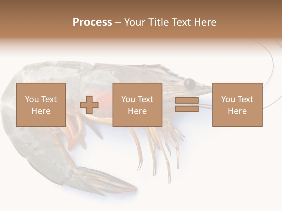 Background Shot White PowerPoint Template