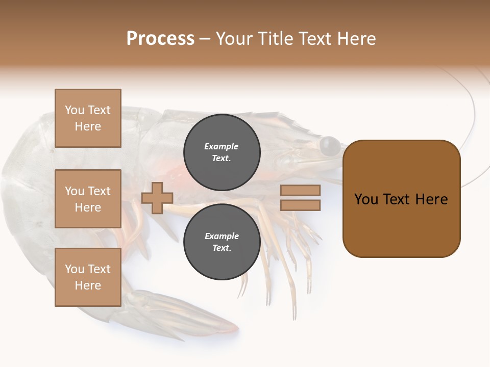 Background Shot White PowerPoint Template