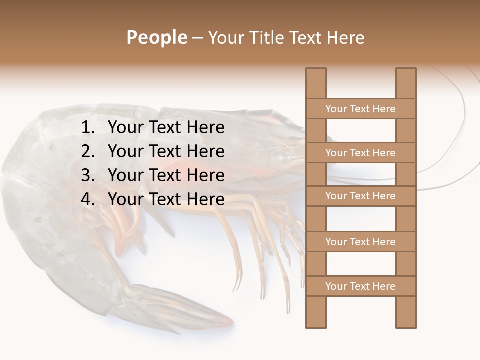 Background Shot White PowerPoint Template