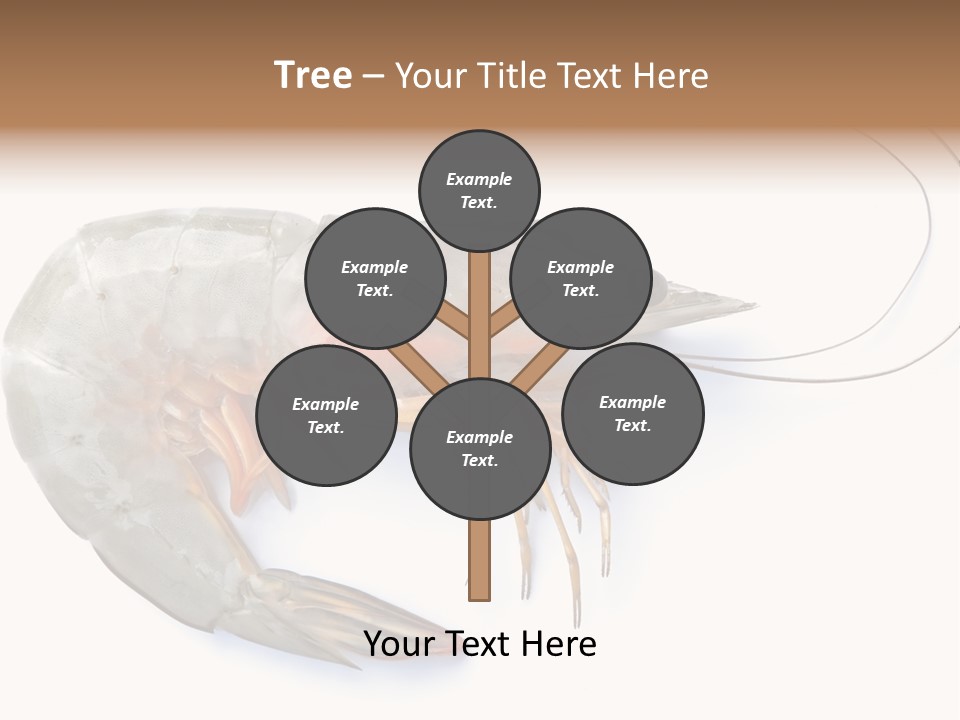 Background Shot White PowerPoint Template