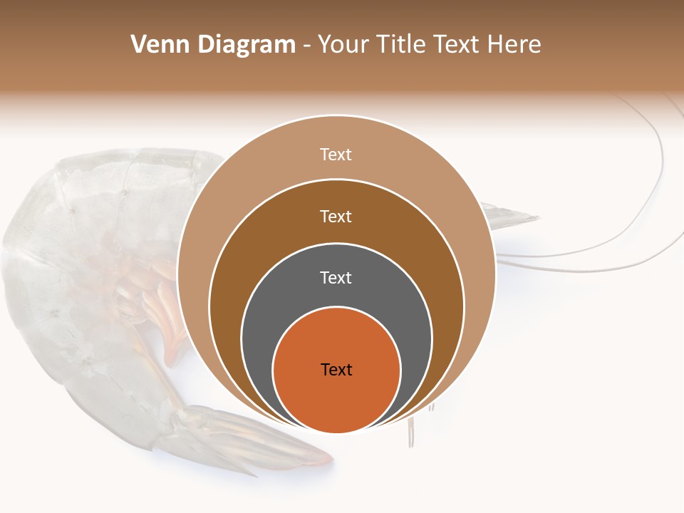 Background Shot White PowerPoint Template