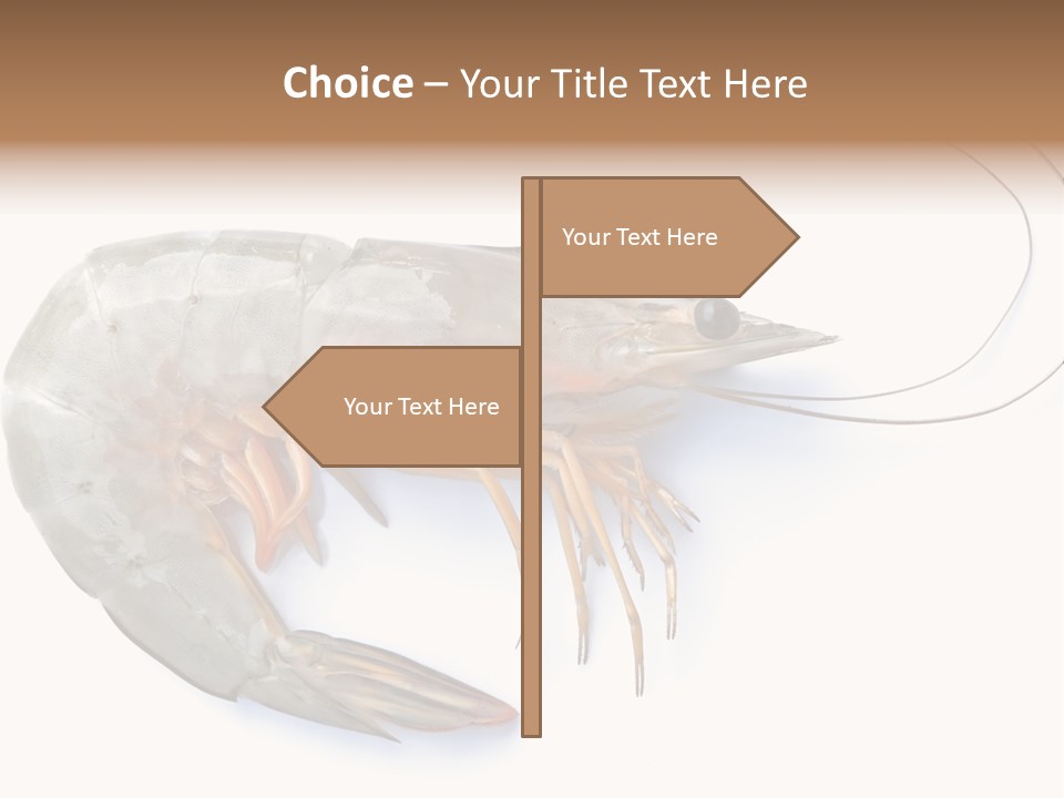 Background Shot White PowerPoint Template