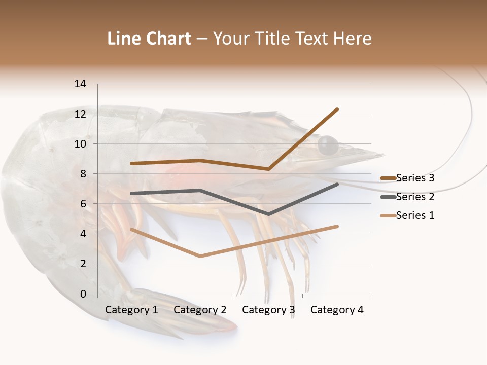 Background Shot White PowerPoint Template