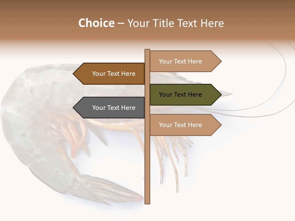 Background Shot White PowerPoint Template