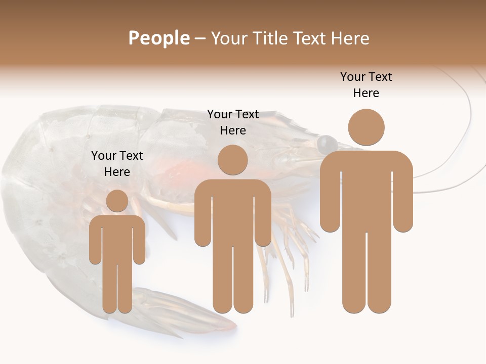 Background Shot White PowerPoint Template