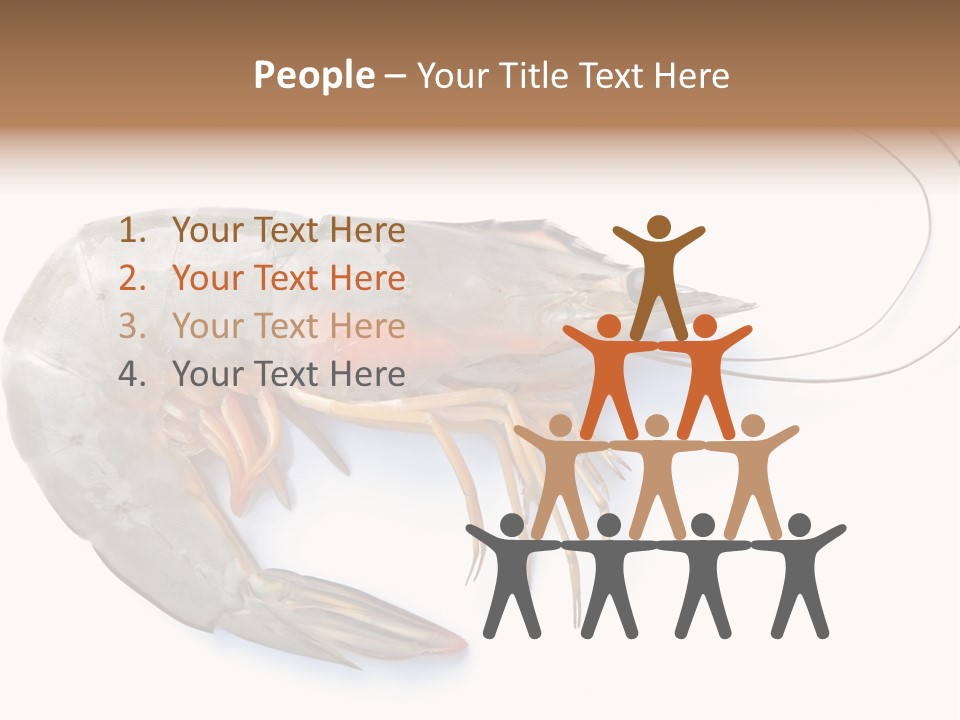 Background Shot White PowerPoint Template