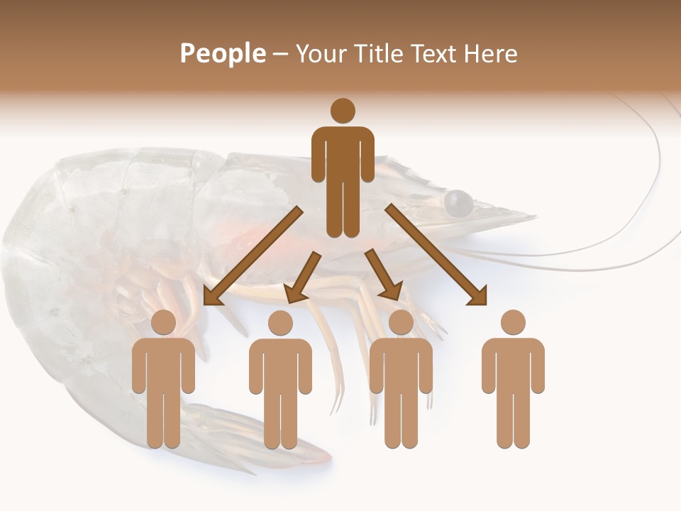 Background Shot White PowerPoint Template