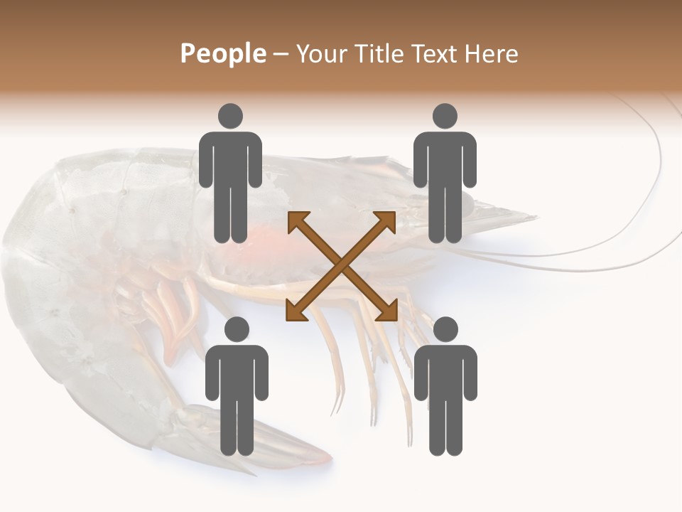 Background Shot White PowerPoint Template