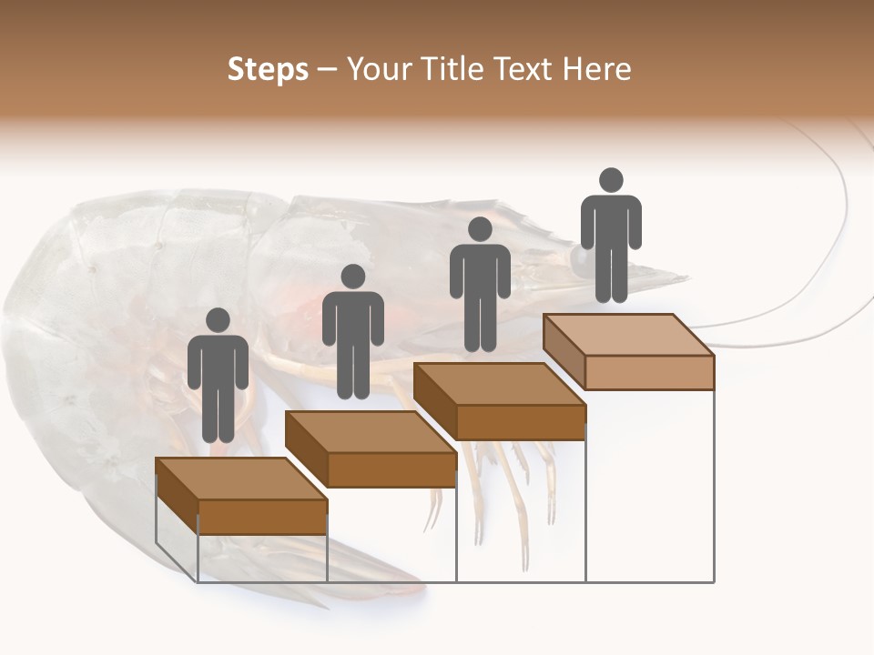 Background Shot White PowerPoint Template