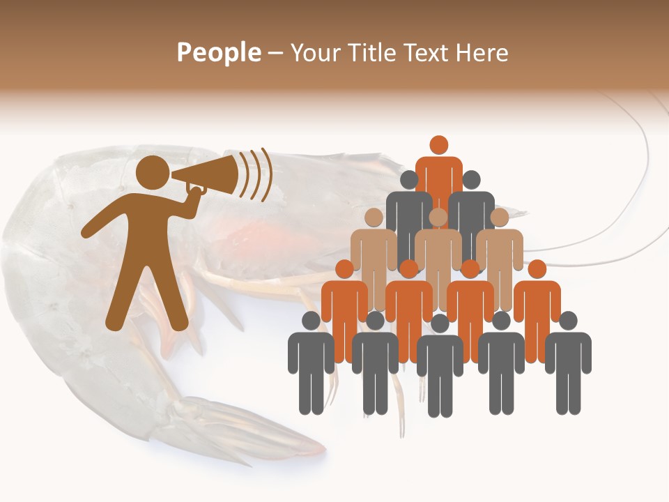 Background Shot White PowerPoint Template