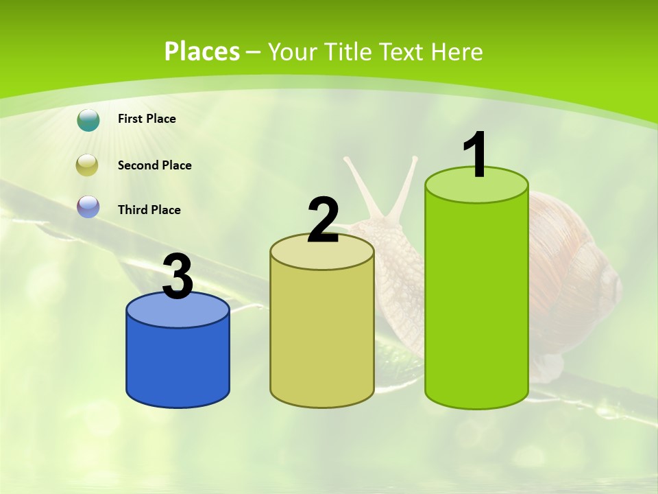 Garden Slow Freshness PowerPoint Template