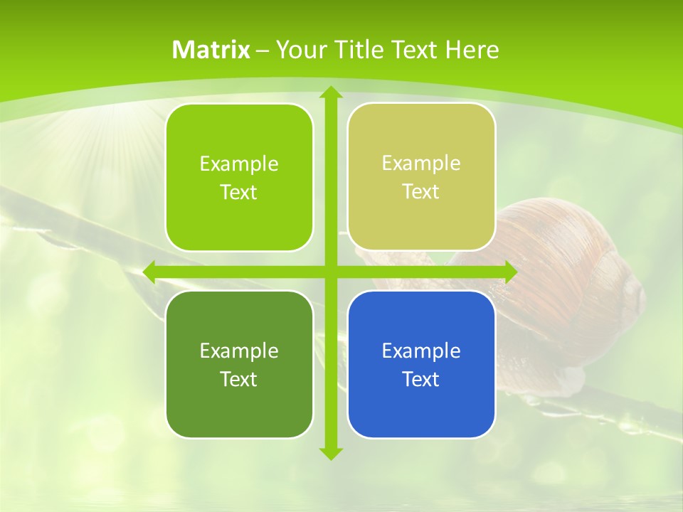 Garden Slow Freshness PowerPoint Template