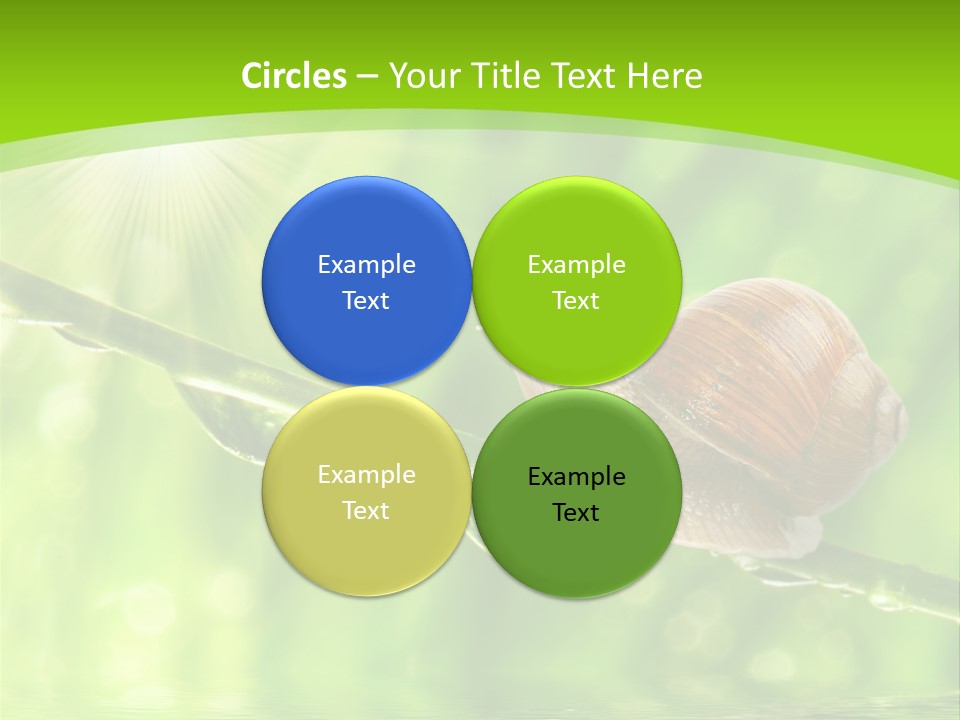 Garden Slow Freshness PowerPoint Template