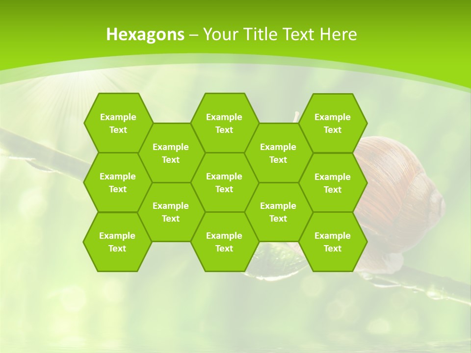 Garden Slow Freshness PowerPoint Template