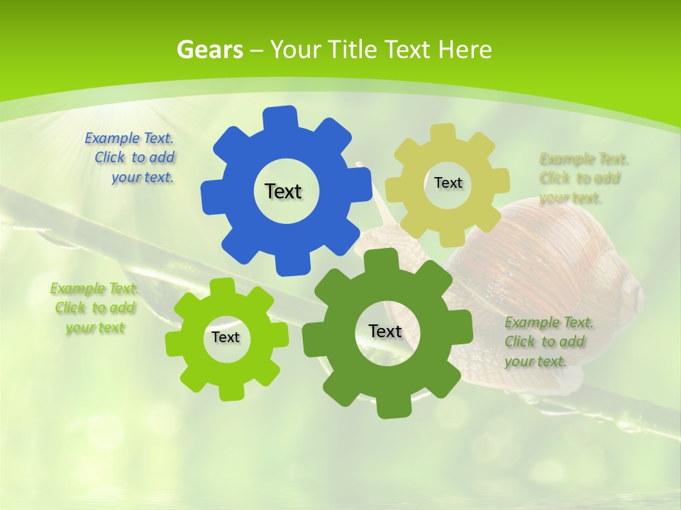 Garden Slow Freshness PowerPoint Template