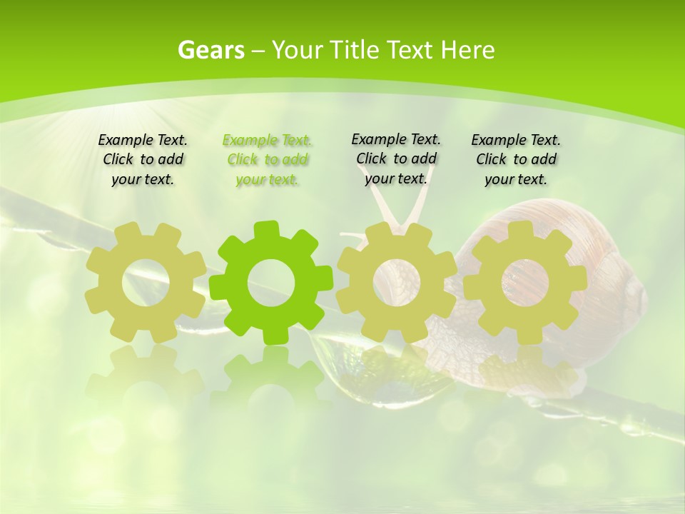 Garden Slow Freshness PowerPoint Template