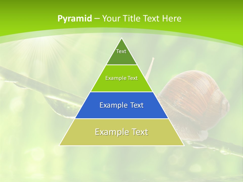 Garden Slow Freshness PowerPoint Template
