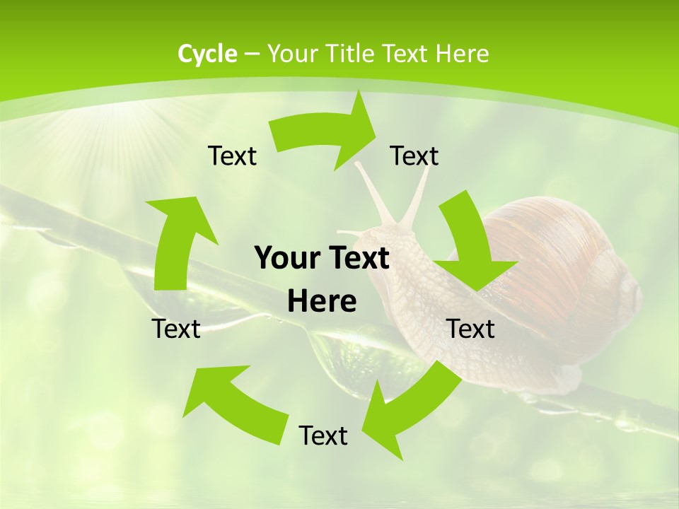 Garden Slow Freshness PowerPoint Template