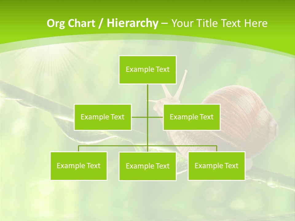 Garden Slow Freshness PowerPoint Template