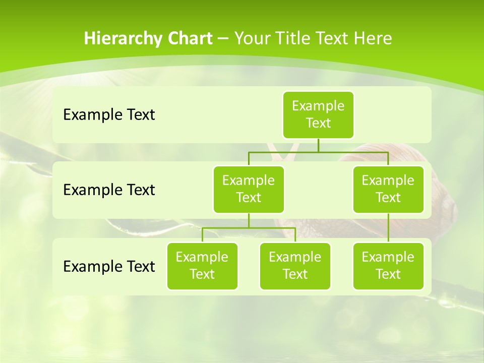 Garden Slow Freshness PowerPoint Template