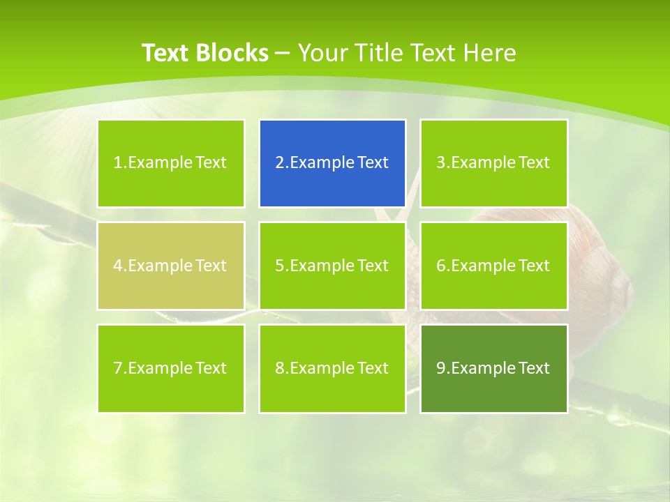 Garden Slow Freshness PowerPoint Template