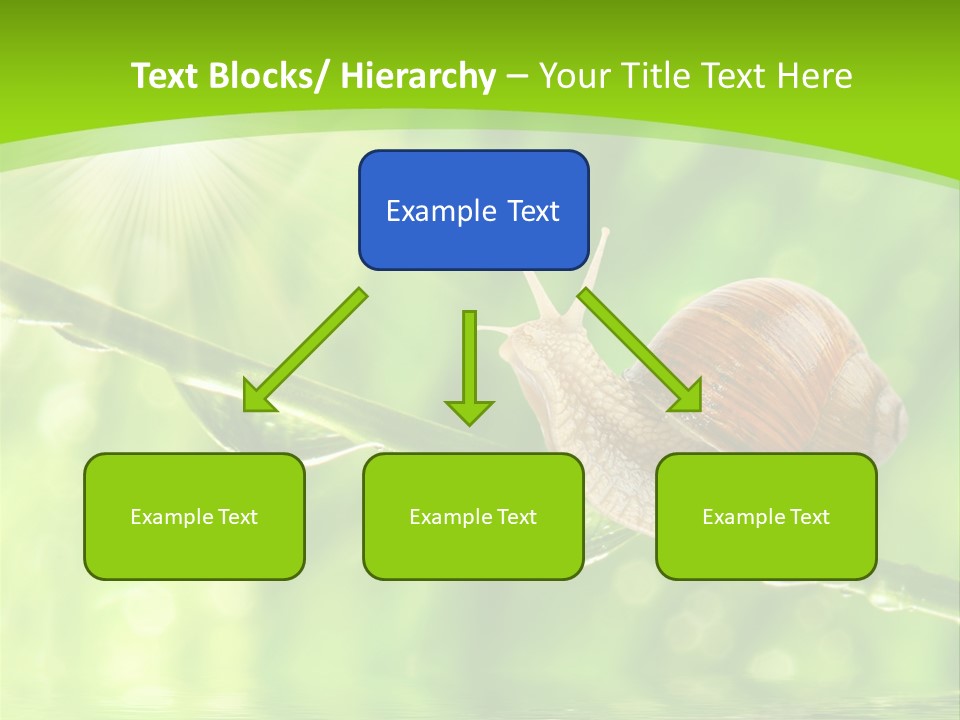 Garden Slow Freshness PowerPoint Template