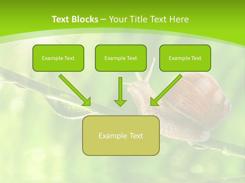 Garden Slow Freshness PowerPoint Template