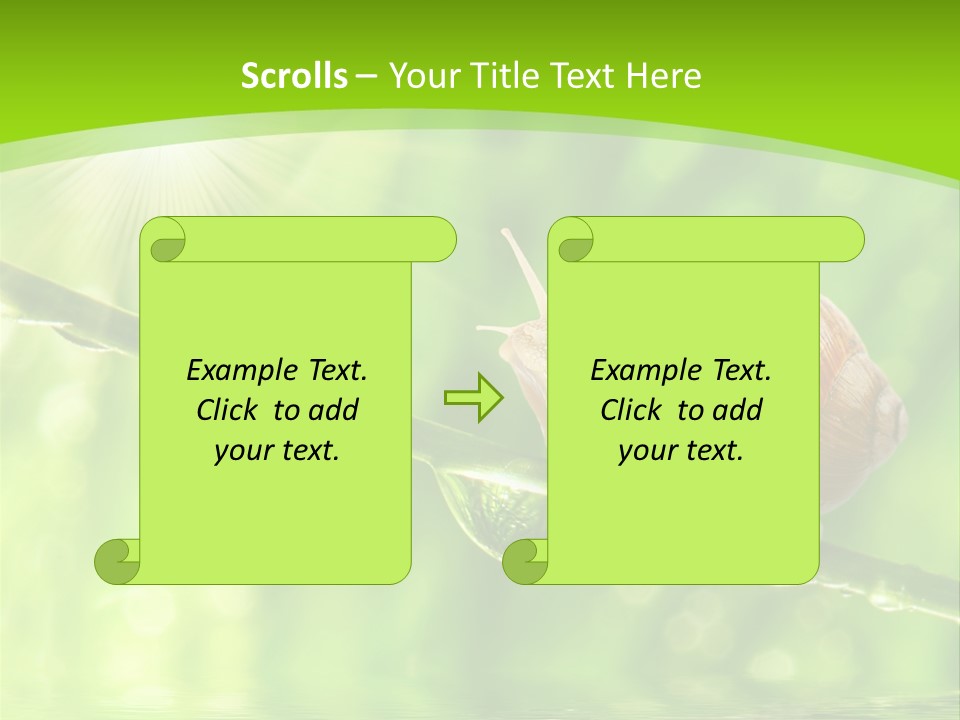 Garden Slow Freshness PowerPoint Template