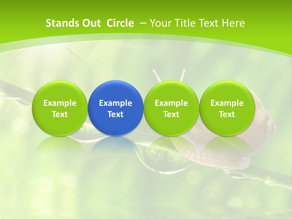 Garden Slow Freshness PowerPoint Template