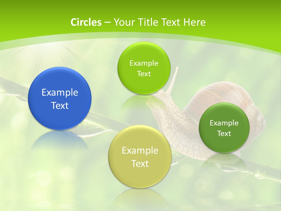 Garden Slow Freshness PowerPoint Template