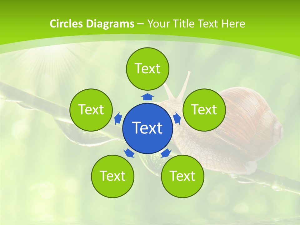 Garden Slow Freshness PowerPoint Template