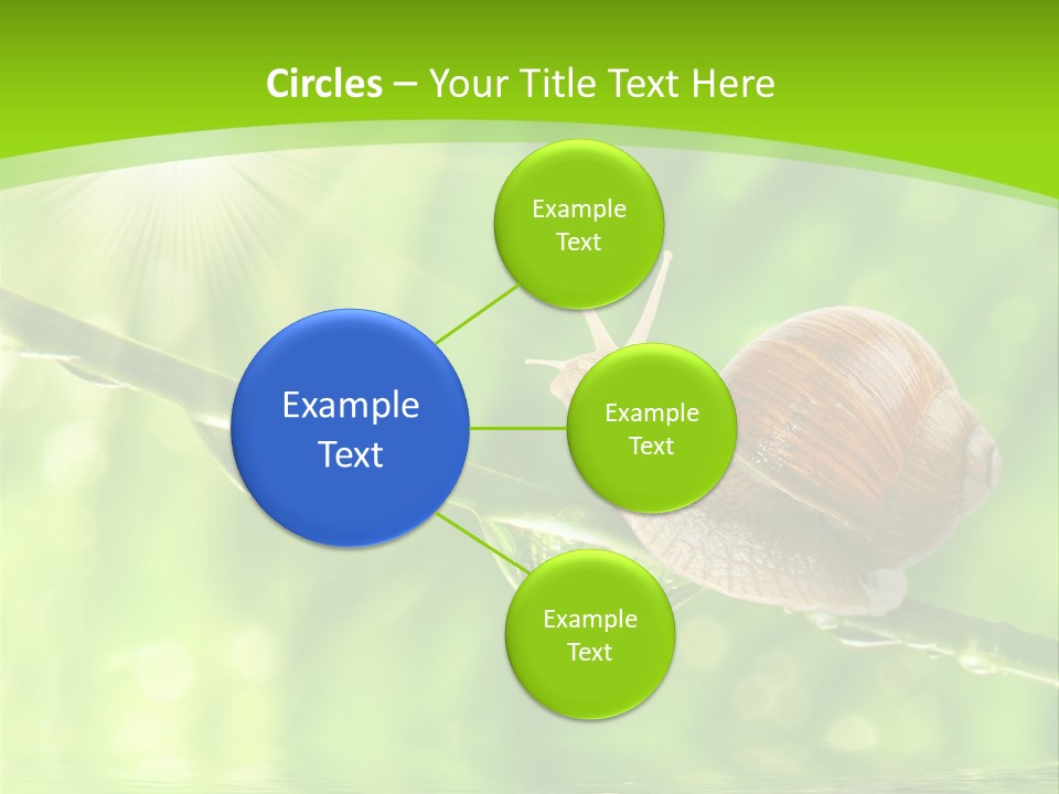 Garden Slow Freshness PowerPoint Template