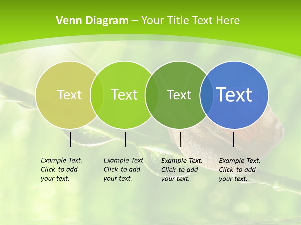 Garden Slow Freshness PowerPoint Template