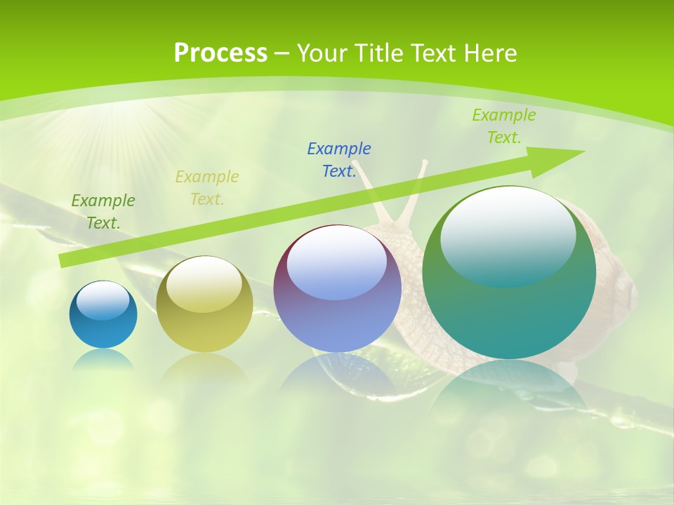Garden Slow Freshness PowerPoint Template