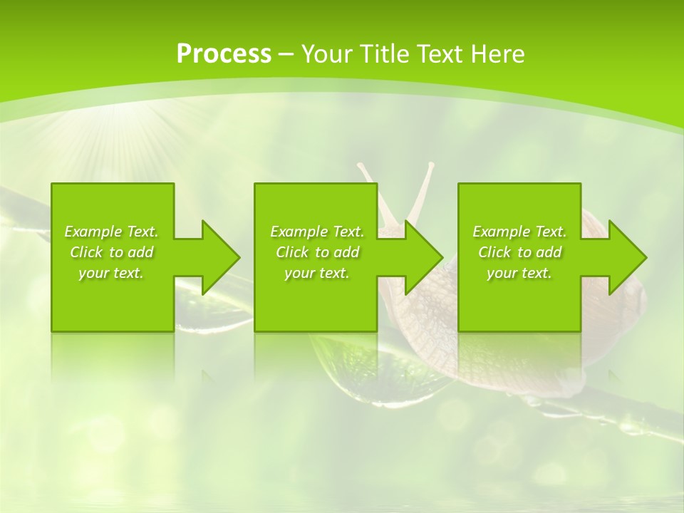 Garden Slow Freshness PowerPoint Template