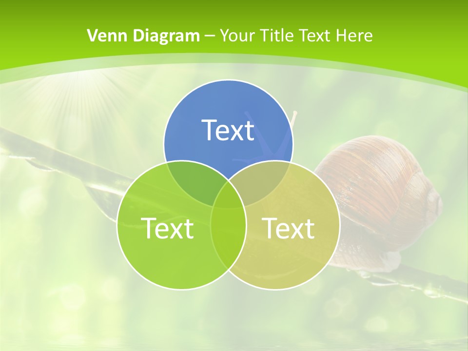 Garden Slow Freshness PowerPoint Template