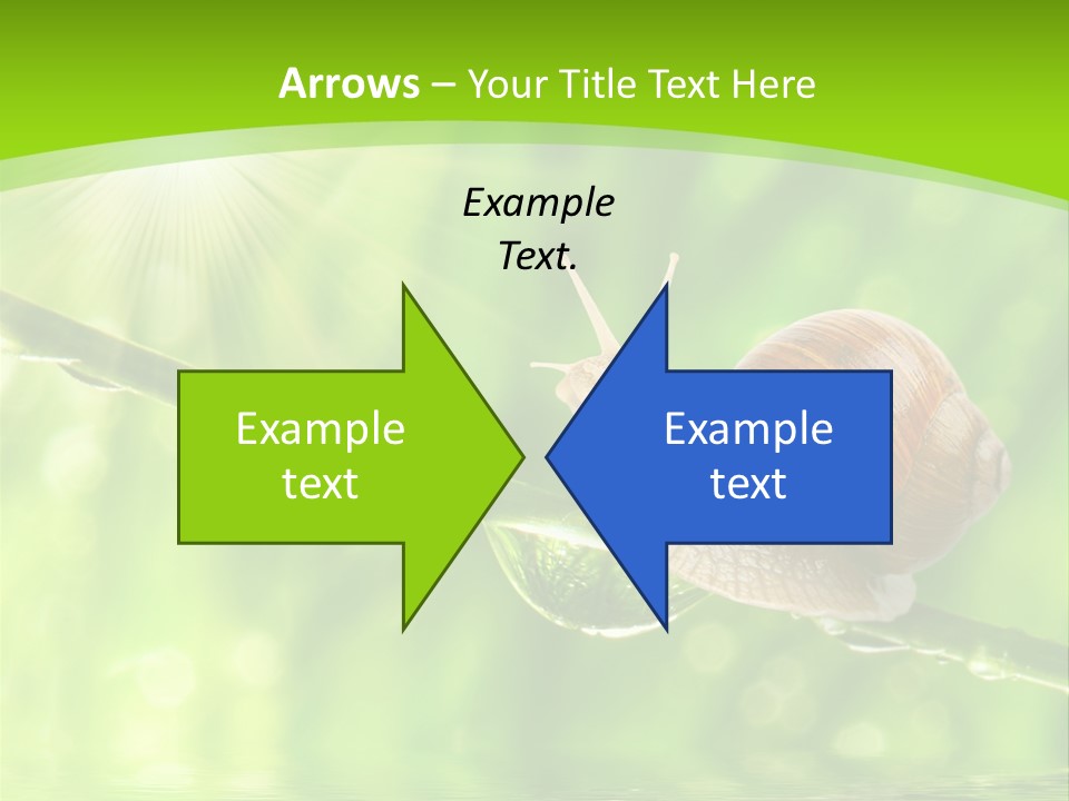 Garden Slow Freshness PowerPoint Template