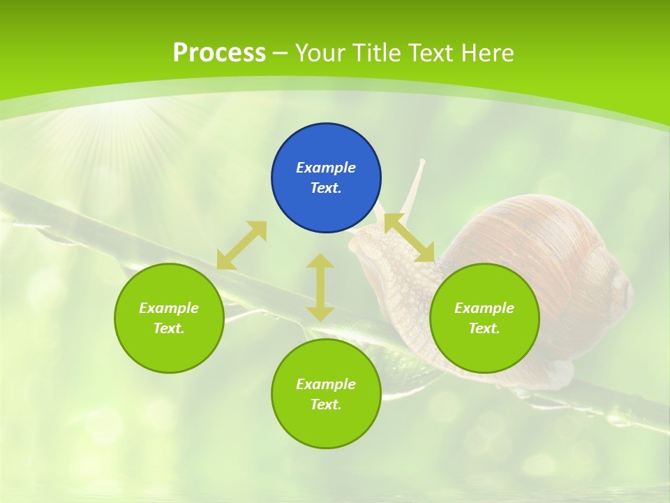 Garden Slow Freshness PowerPoint Template