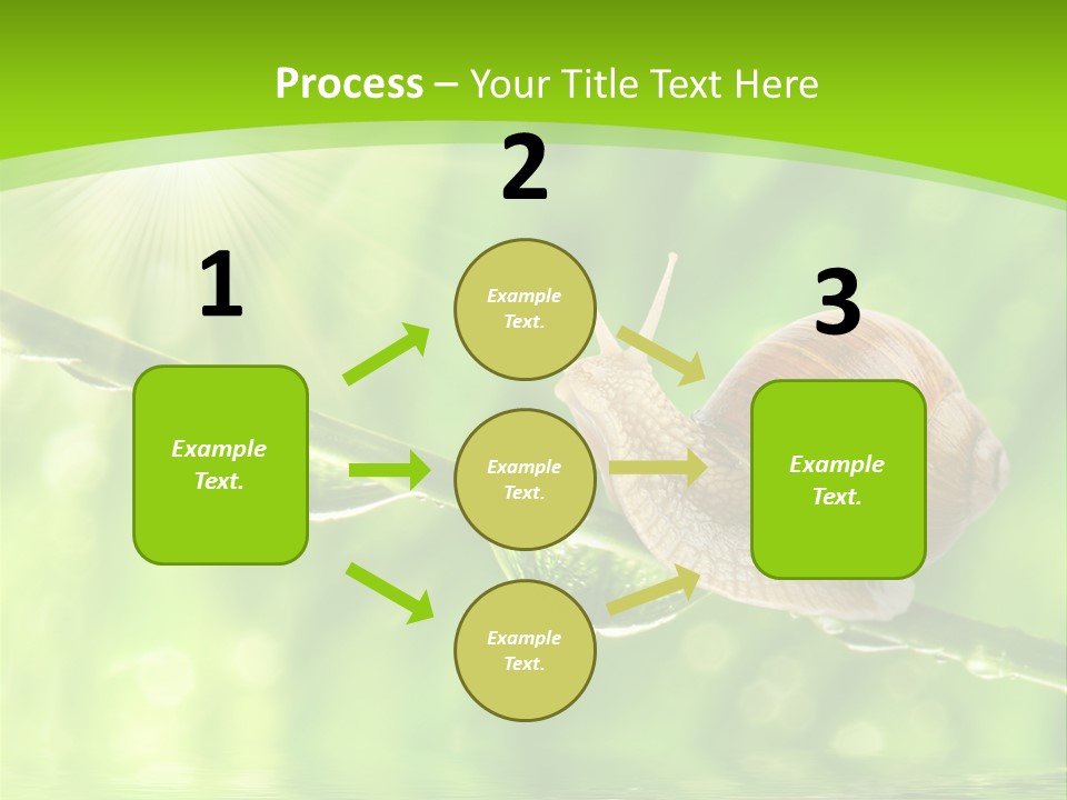 Garden Slow Freshness PowerPoint Template