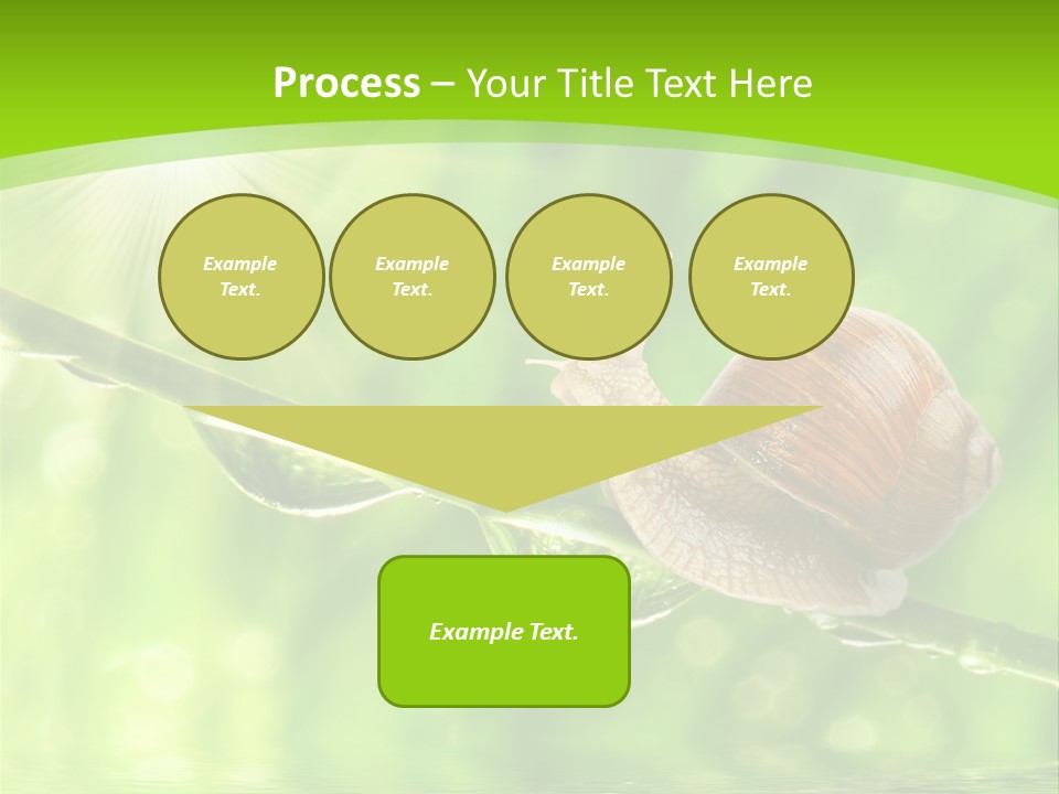 Garden Slow Freshness PowerPoint Template