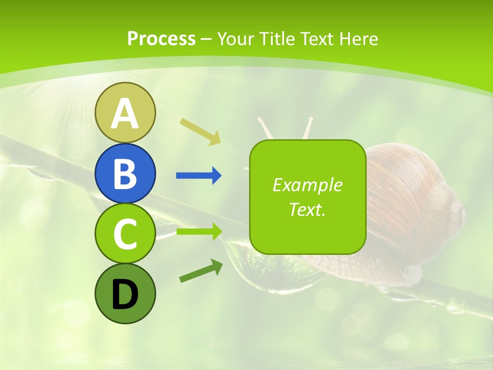Garden Slow Freshness PowerPoint Template