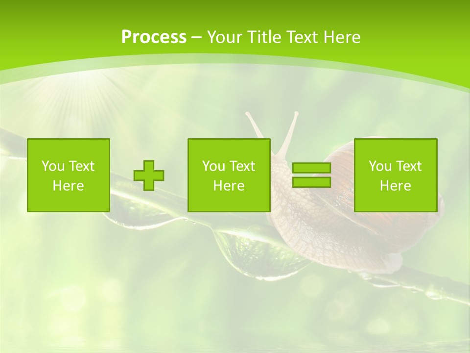 Garden Slow Freshness PowerPoint Template