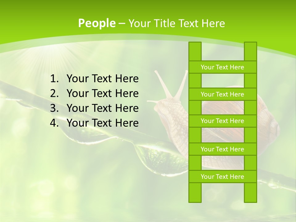 Garden Slow Freshness PowerPoint Template