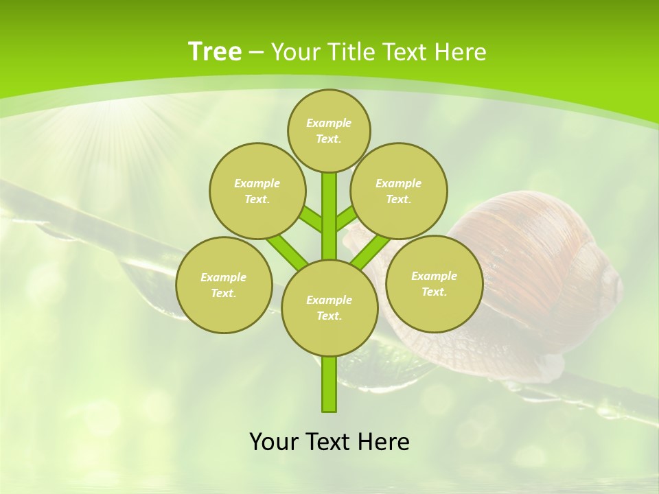 Garden Slow Freshness PowerPoint Template