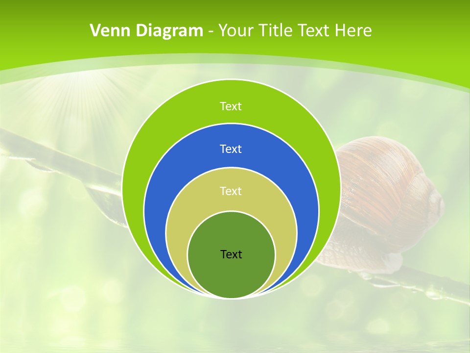 Garden Slow Freshness PowerPoint Template