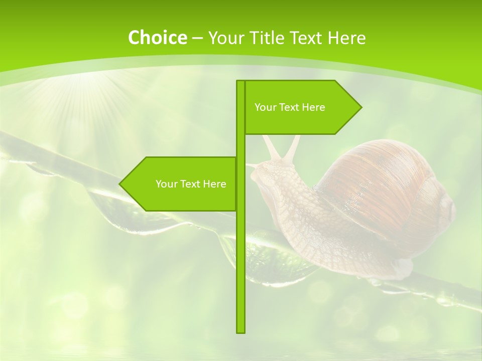 Garden Slow Freshness PowerPoint Template