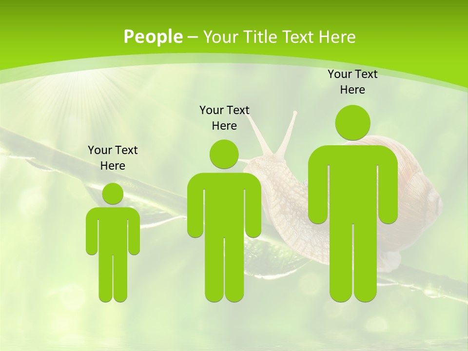 Garden Slow Freshness PowerPoint Template