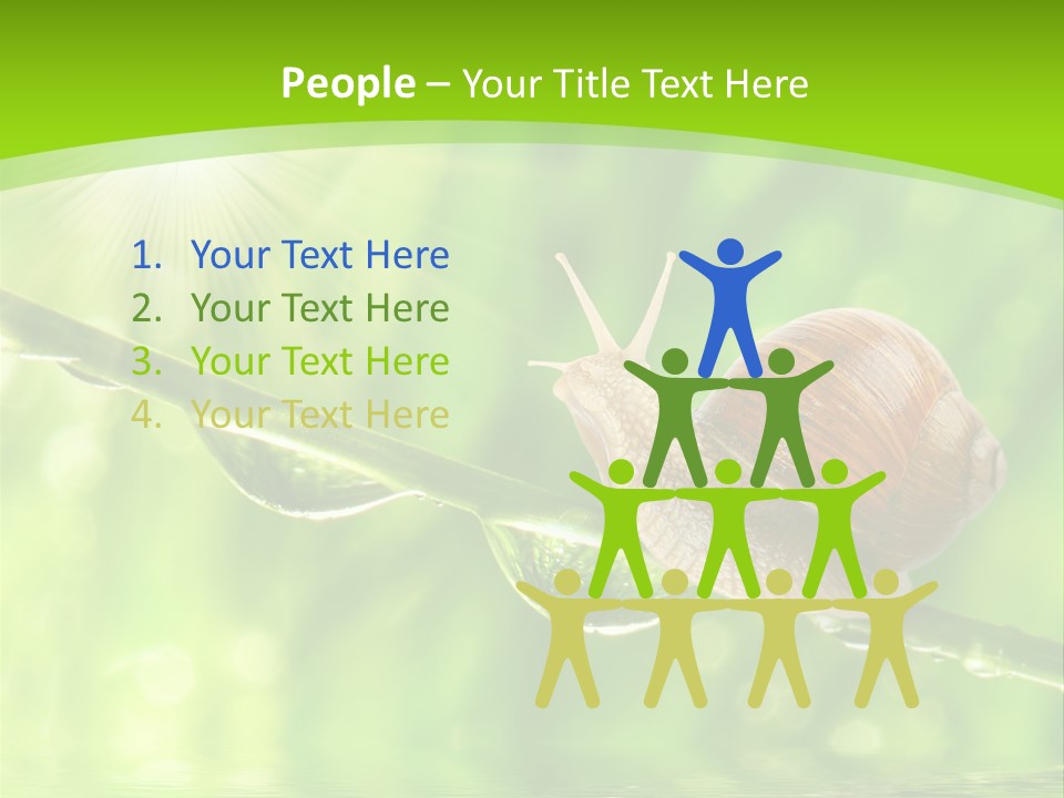 Garden Slow Freshness PowerPoint Template