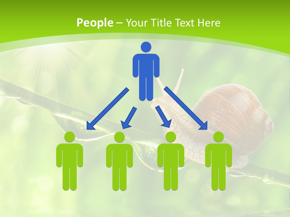 Garden Slow Freshness PowerPoint Template